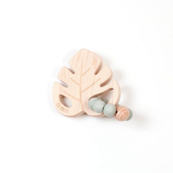 Image Wood rattle Leaf - Sauge