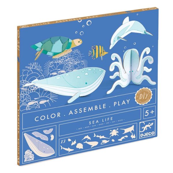 Image Color Assemble Play / Sea life