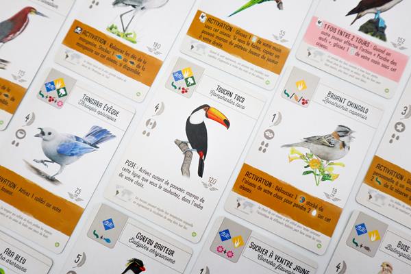 Wingspan / Extension Amériques (FR)