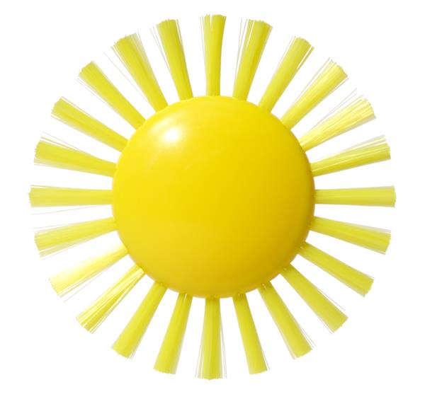 Image Pluï Brosse Soleil