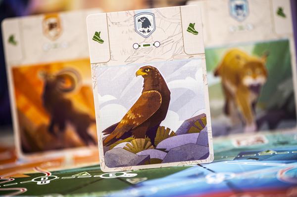 The Peak Team Rangers (fr)